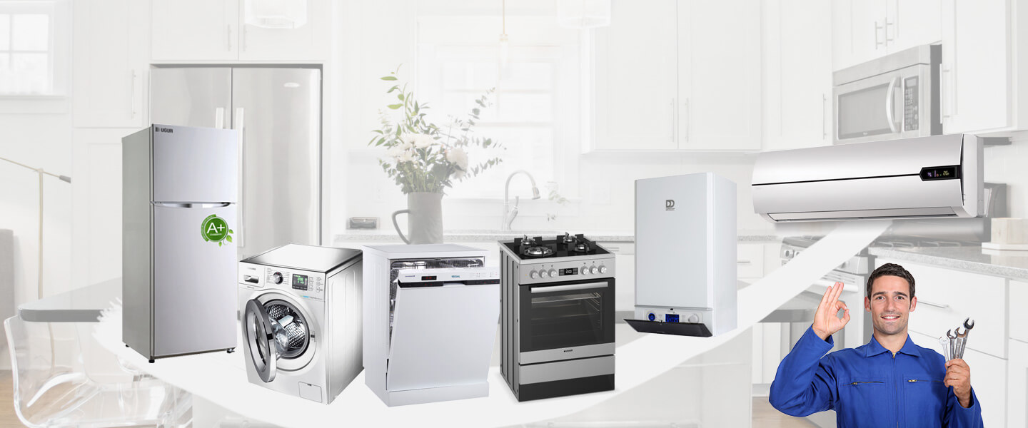 Boyalık Gaggenau Servisi